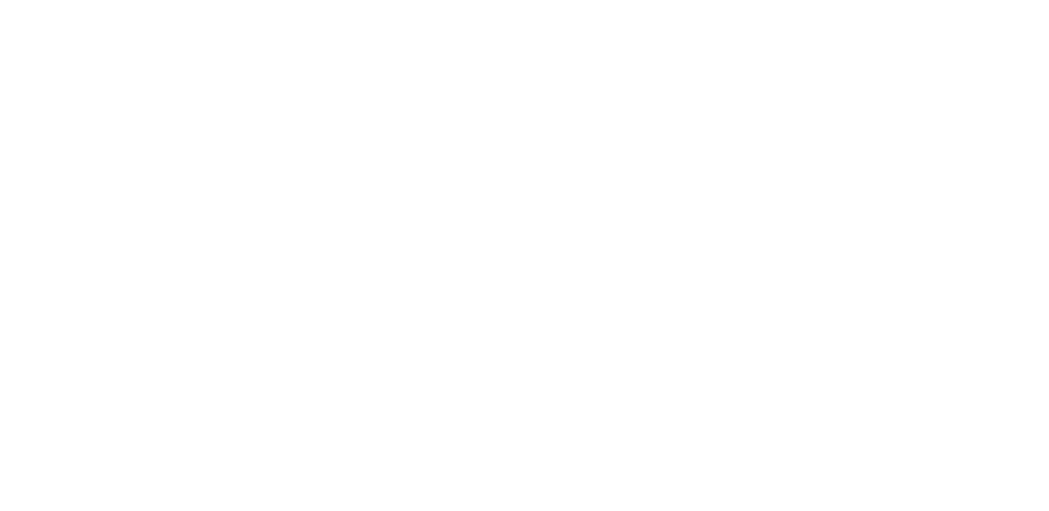 SMASH MEDIA Logo
