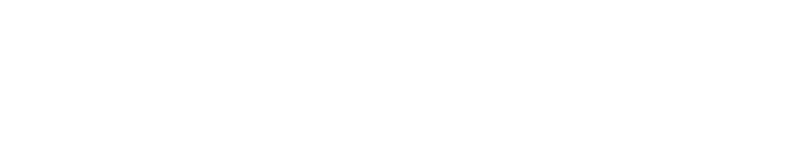 WIRED Logo